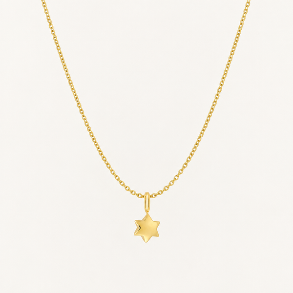Set: Darling Necklace Stern – Ankerkette 45 cm & Darling Charm Stern, vergoldet